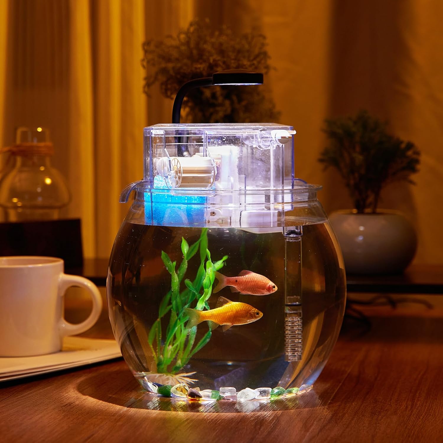 1 Gallon Clear Plastic Round Fish Tank with Filter and Light P992