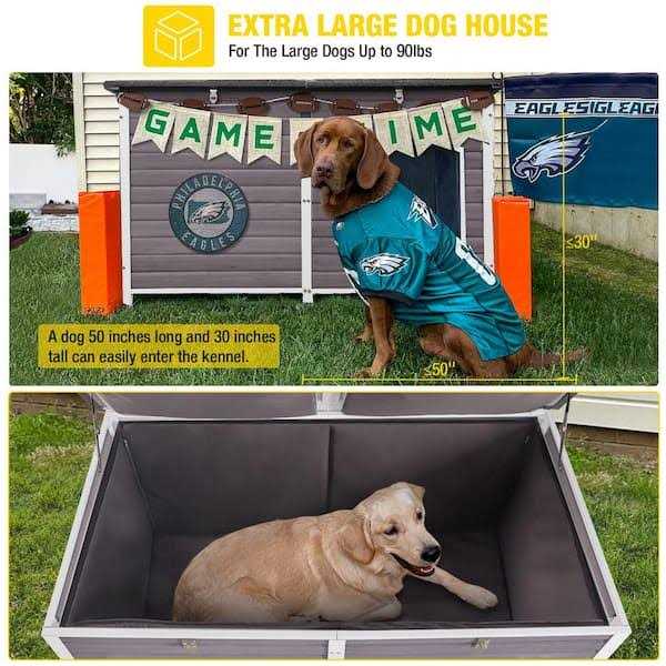 Extra Large Insulated Dog House with Soft Liner H5785