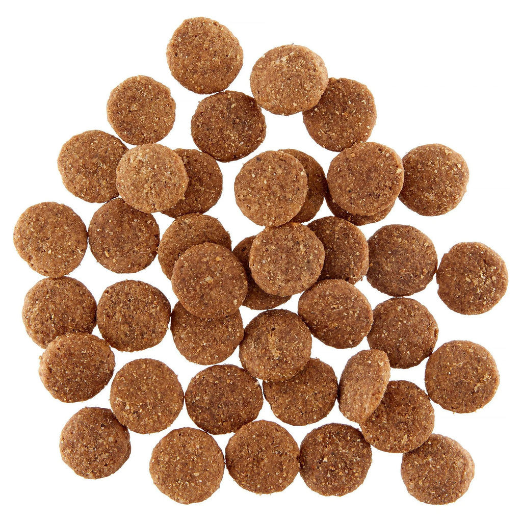 40 Lb Dry Dog Food R7795