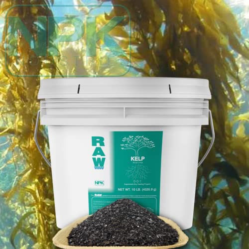 2 oz RAW Kelp K998872