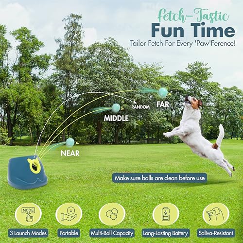Automatic Dog Ball Launcher with 6 Latex Balls Q65327