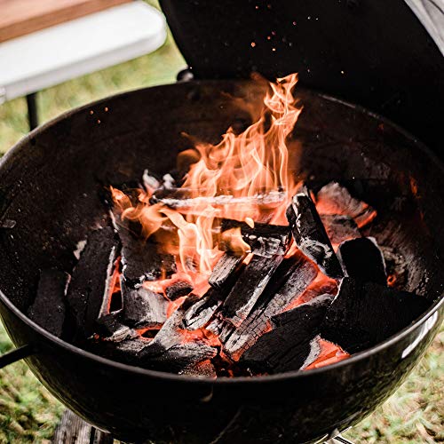 20 Pound Hardwood Lump Charcoal A3143