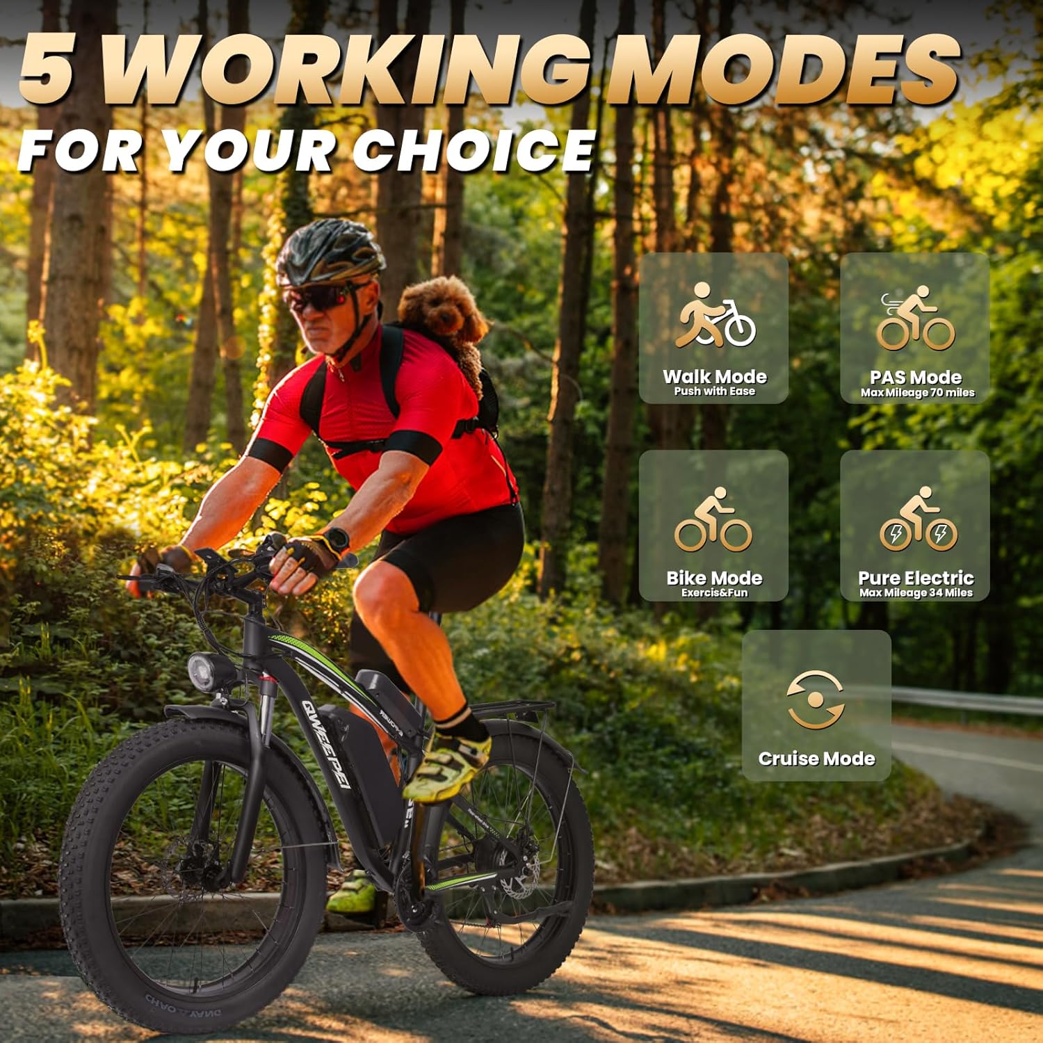 Electric Bike 1000W Brushless Motor 34MPH 17.5AH 840WH Battery 70 Miles 21-Speed Gears N90066