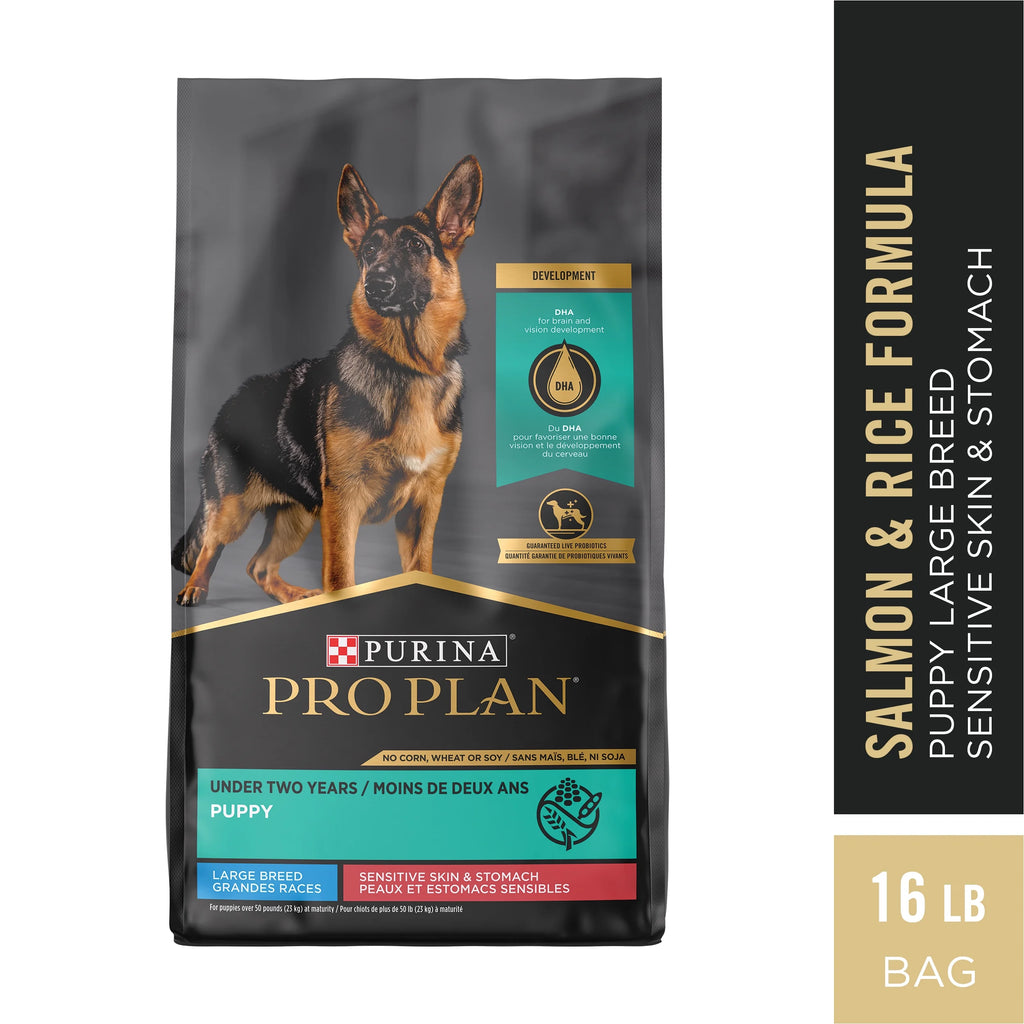 Large Breed Dry Dog Food, Salmon & Rice, 16 lb Bag J942