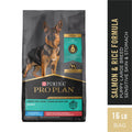 Large Breed Dry Dog Food, Salmon & Rice, 16 lb Bag J942