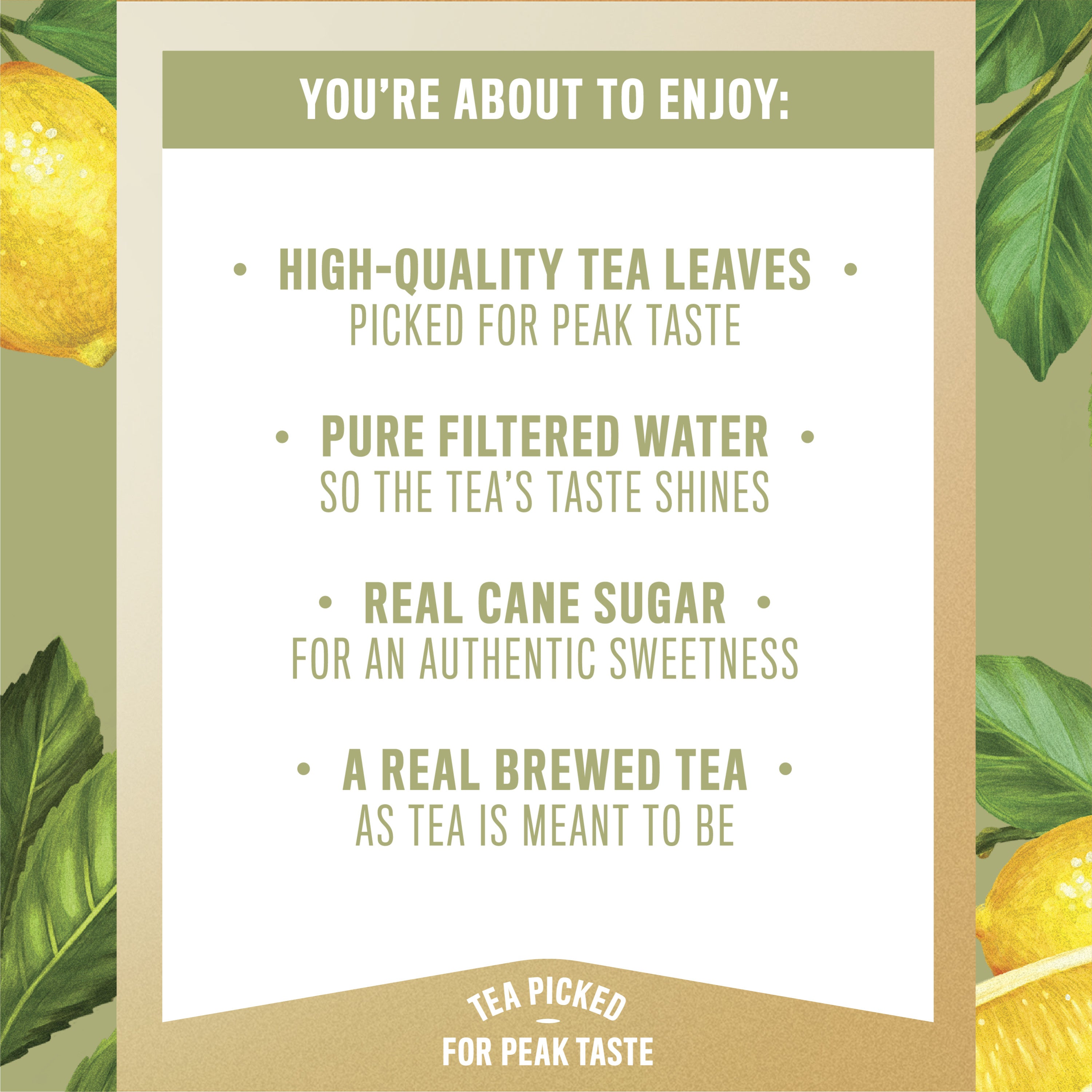 18.5 fl oz Sweetened Iced Tea Drink W493186
