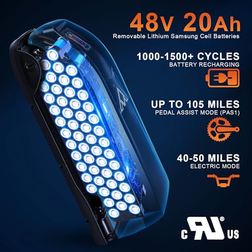 20'' Fat Tire Electric Bike with 750W Motor and 48V/20Ah Battery P363