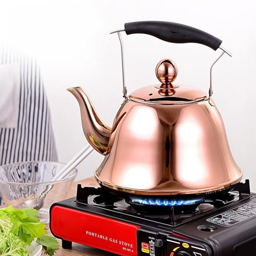 Stainless Steel Whistling Tea Kettle I72816