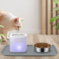 63oz Stainless Steel Cat Water Fountain and Food Bowl Set H841138