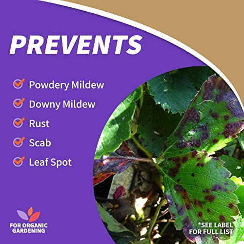32 oz Ready-to-Use Neem Oil Fungicide Insecticide Miticide W2323
