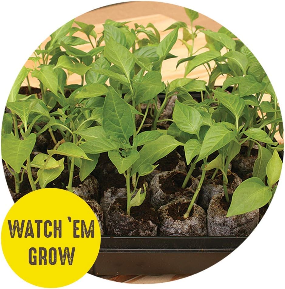 42mm Seed Starting Greenhouse Kit with 25 Biodegradable Expanding Peat Pellets Y4869