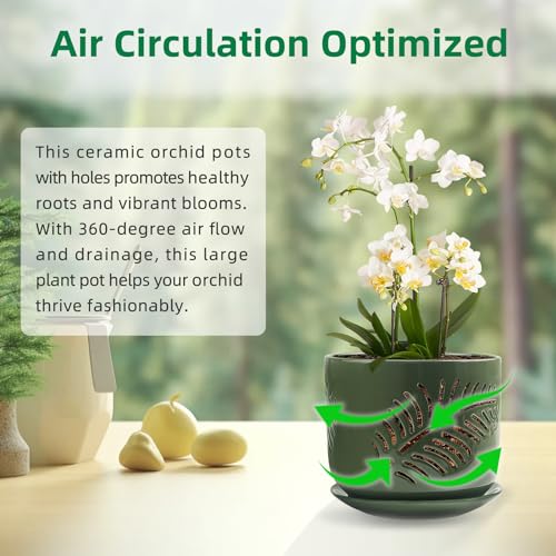 2 Pack 6+5 inch Ceramic Orchid Pots with Holes W5034
