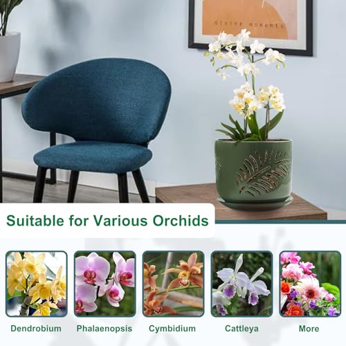 2 Pack 6+5 inch Ceramic Orchid Pots with Holes W5034