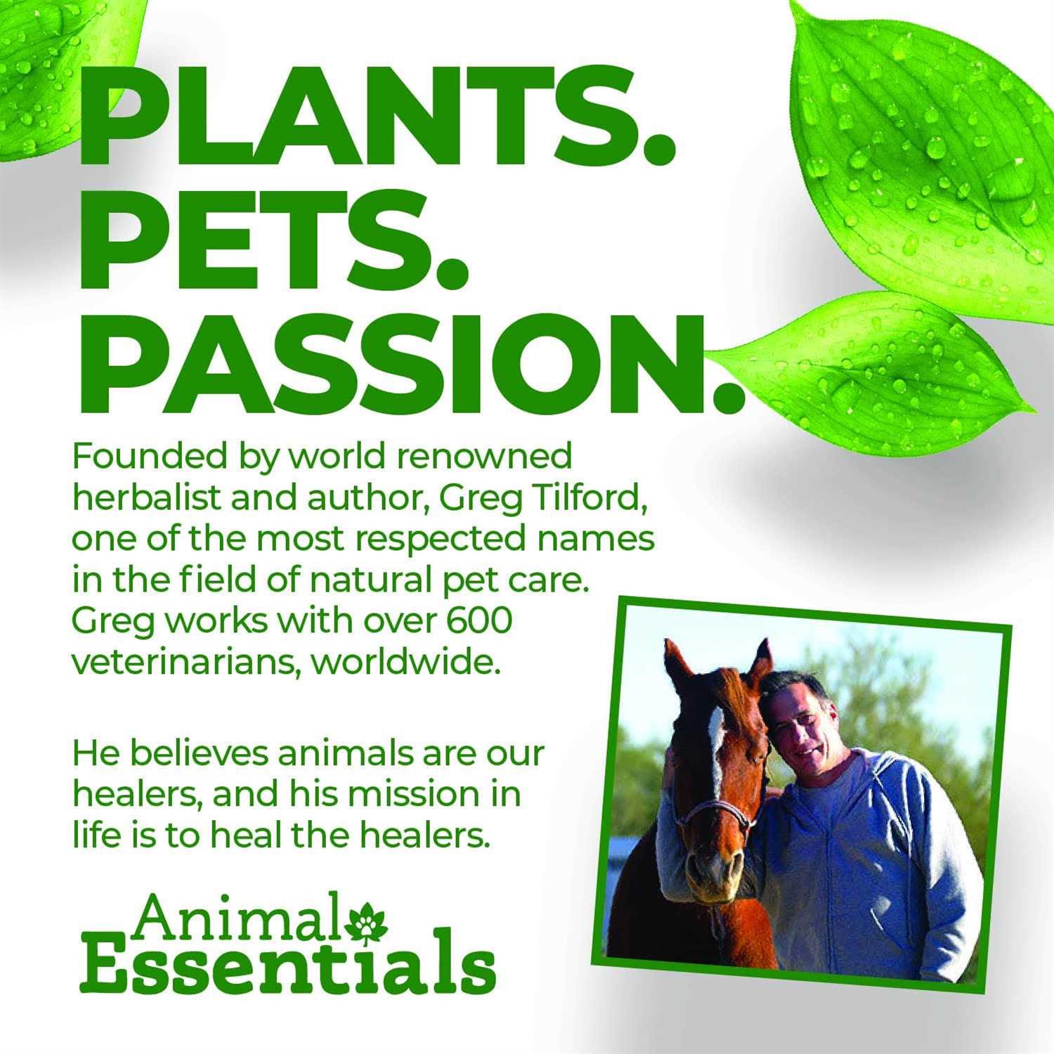 Seaweed Calcium for Dogs and Cats F580412