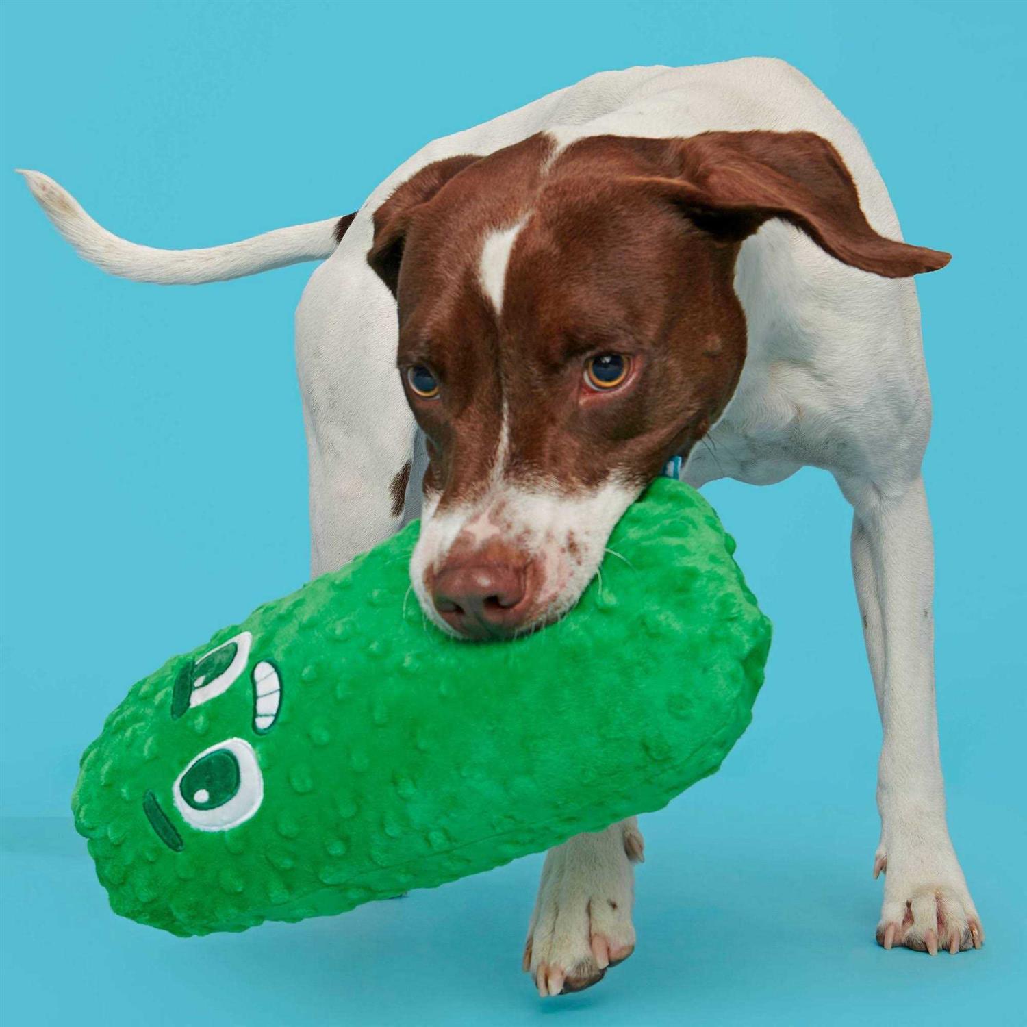 Big Dill Bill Dog Toy X732