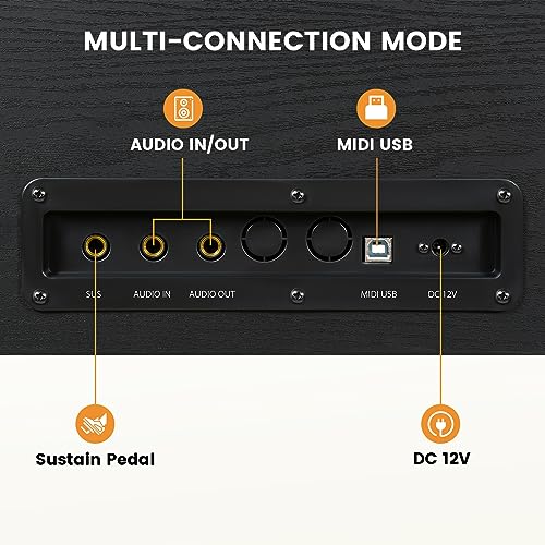 Black 88 Key Weighted Digital Piano with Hammer Action, Dual 25W Speakers, Triple Pedal S273850