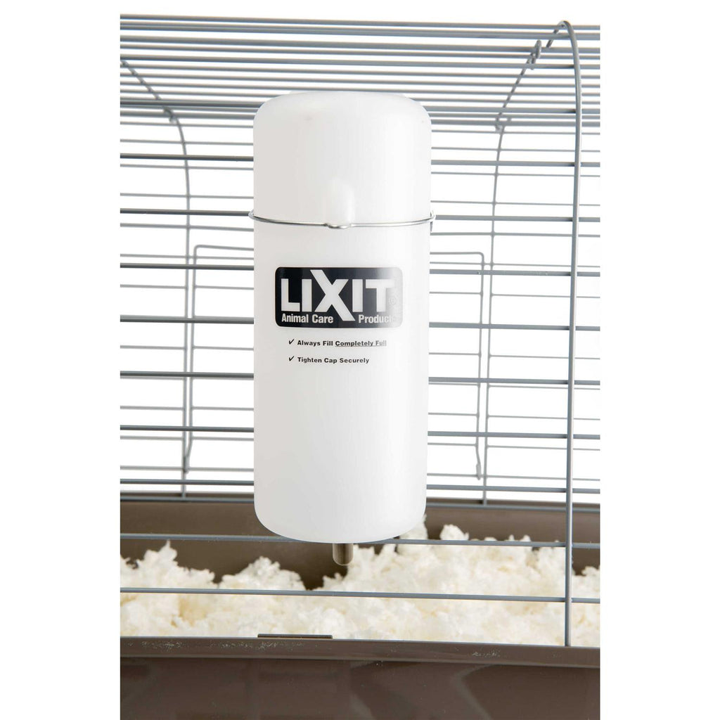 Wide Mouth Water Bottle F6204