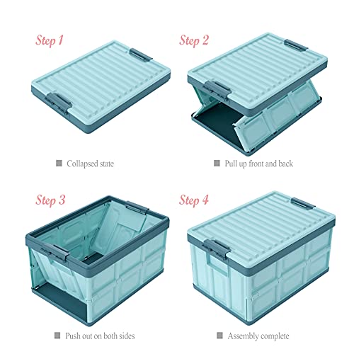 Collapsible Storage Bins with Lids 30L, Folding Plastic Stackable Utility Crates 2-Pack, Oyster White M6276