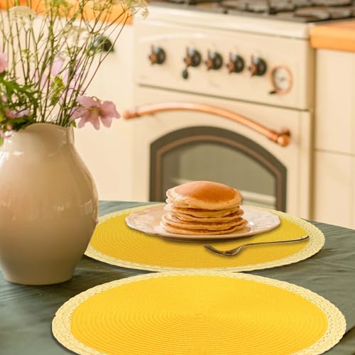 Round Braided Placemats Set of 8, 15 Inches, Washable, Heat Resistant, Non-slip, Black Thin Edge R98648