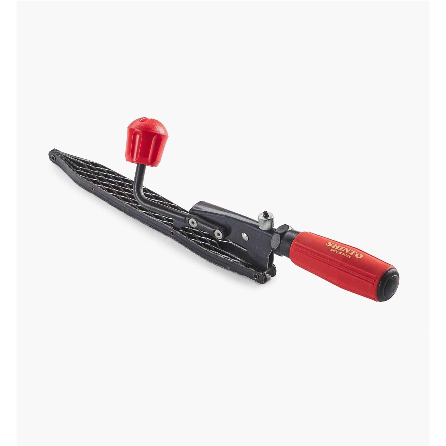 Saw Rasp Z399375