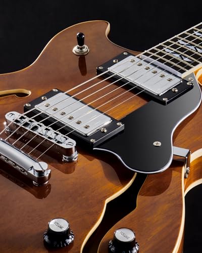 Semi Hollow Body Electric Guitar with 6 String U68664