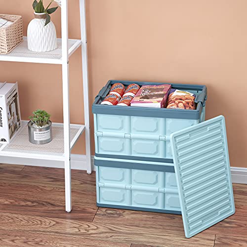 Collapsible Storage Bins with Lids 30L, Folding Plastic Stackable Utility Crates 2-Pack, Oyster White M6276
