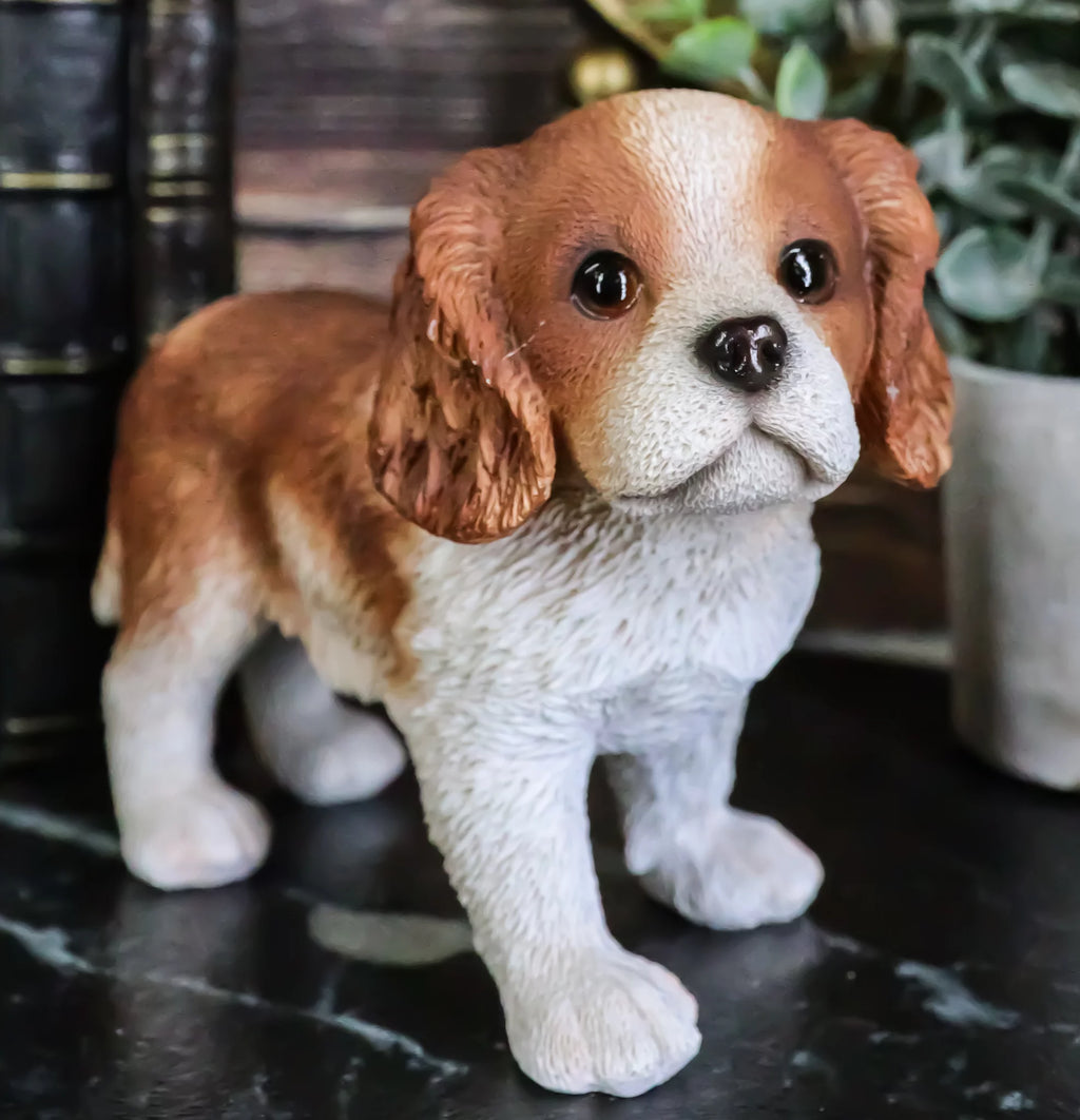 Cavalier King Charles Spaniel Dog Statue 6.25" Long G43674