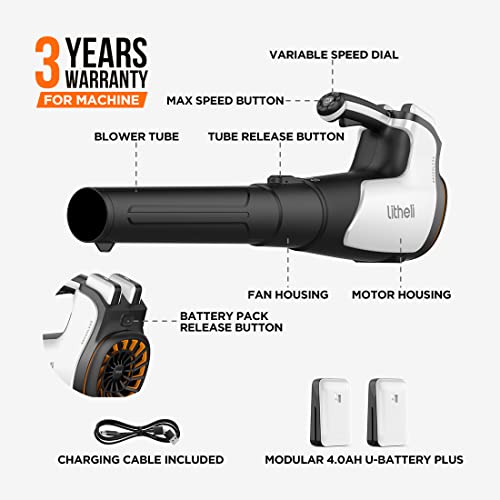 2x20V 560CFM Brushless Leaf Blower with 4.0Ah Battery D56919