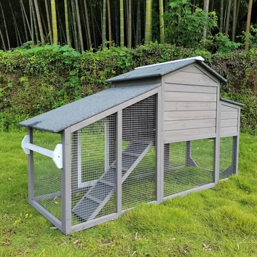 Grey Wooden Chicken Coop and Run with Nesting Box and Pull Out Tray Q98614