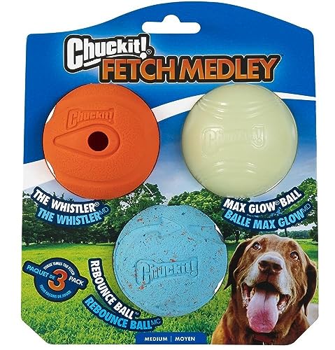 Medium (2.5 Inch) Pack of 3 Dog Ball Dog Toys N702079