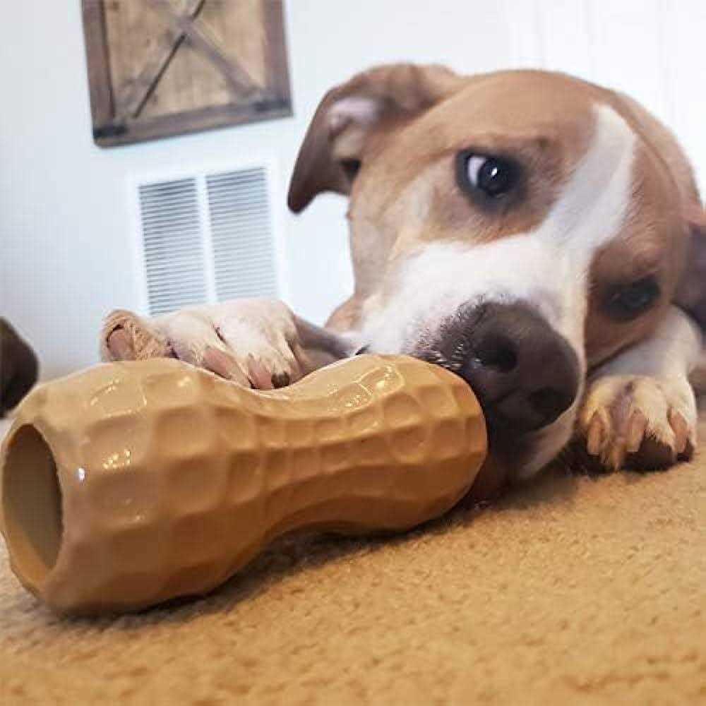 Peanut Butter Dog Toy T970337