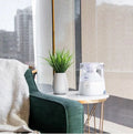 2-in-1 Warm Mist Humidifier & Steam Inhaler Z25065