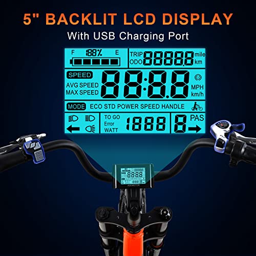 20'' Fat Tire Electric Bike with 750W Motor and 48V/20Ah Battery P363
