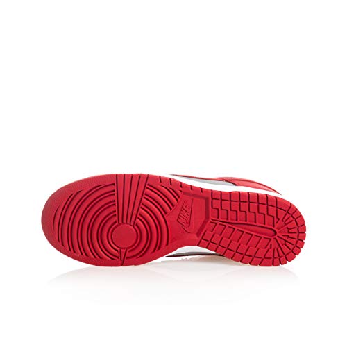 Mens Dunk Low Retro Sneakers I497792