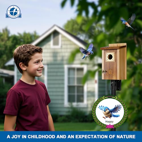 2 Pack Cedar Bird House with Copper Guard H7460