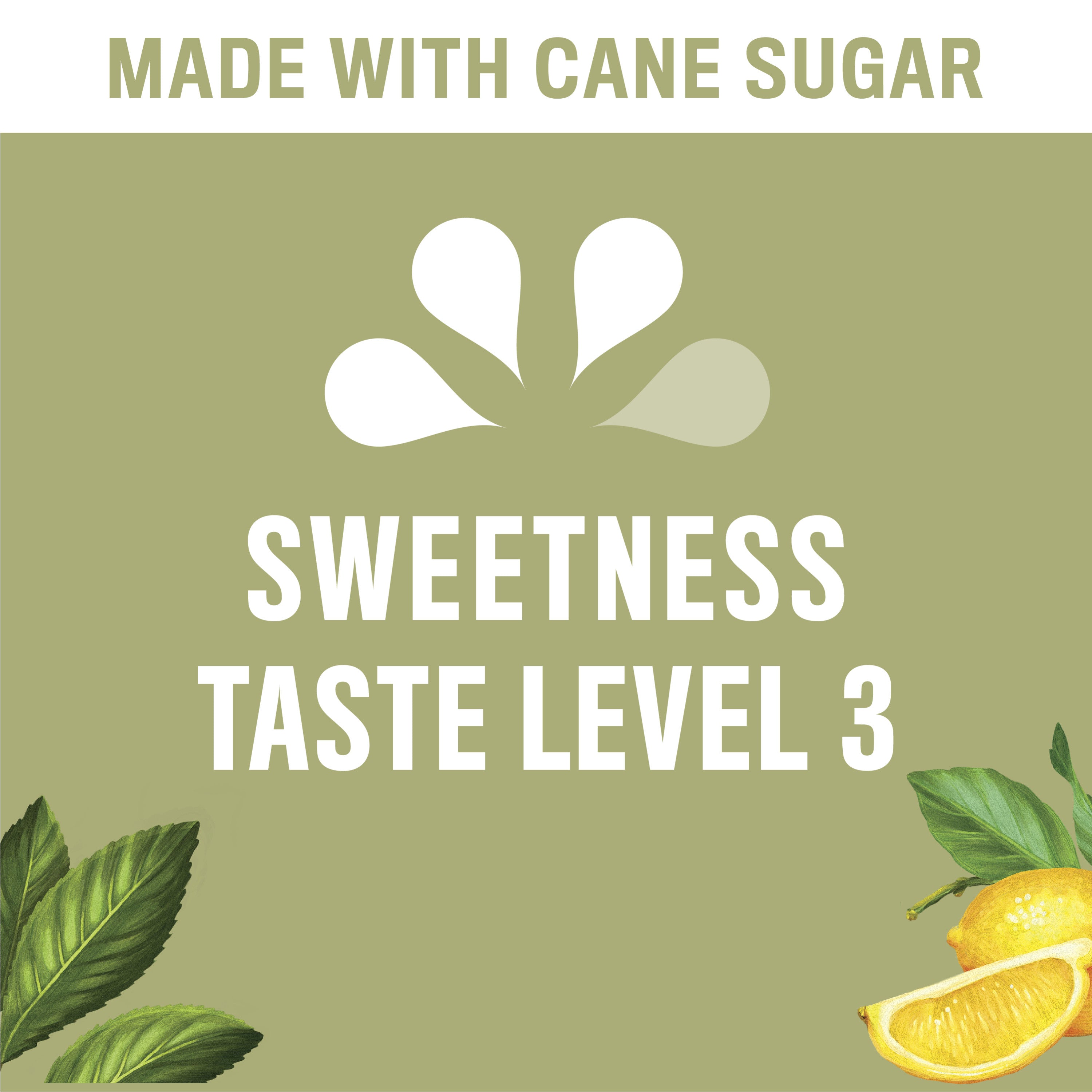 18.5 fl oz Sweetened Iced Tea Drink W493186
