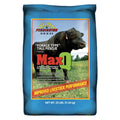 MaxQ Jesup Forage Tall Fescue Q256291
