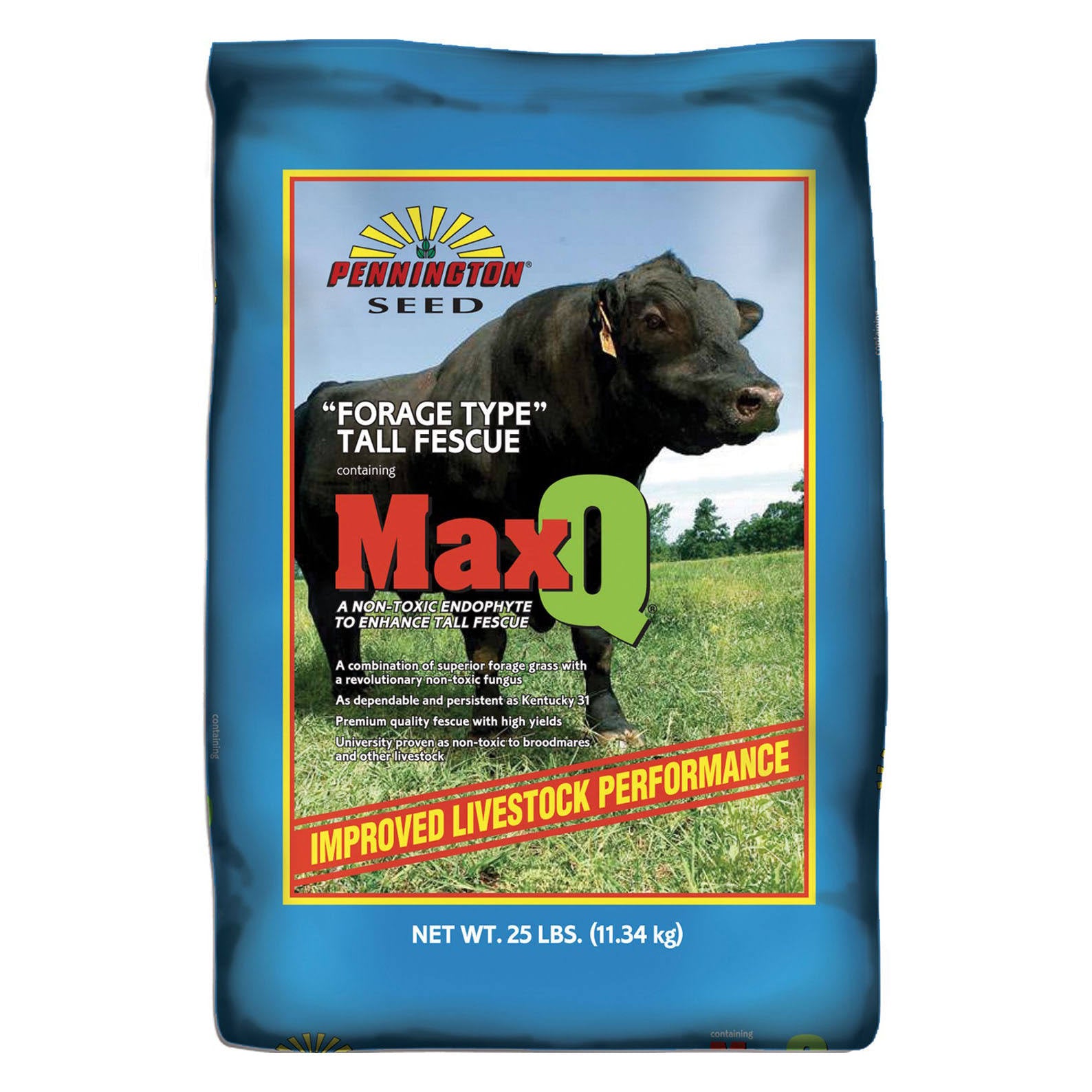 MaxQ Jesup Forage Tall Fescue Q256291