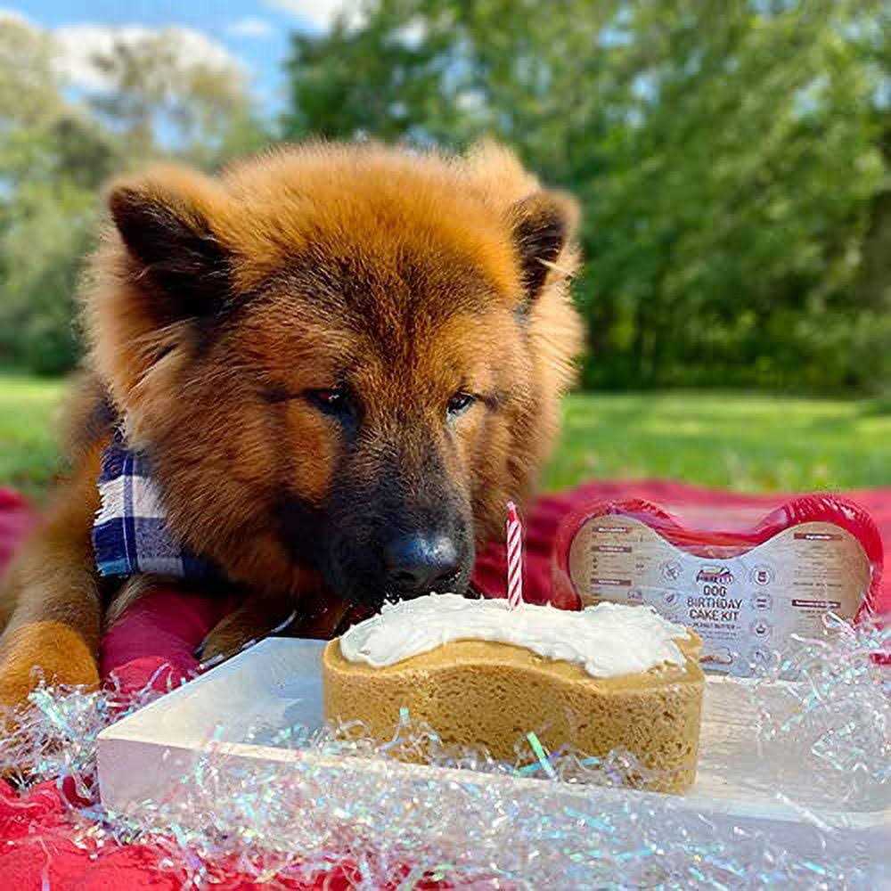 Dog Birthday Cake Kit L4358