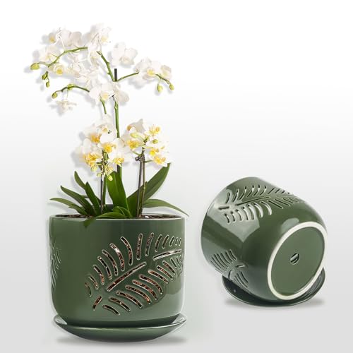 2 Pack 6+5 inch Ceramic Orchid Pots with Holes W5034