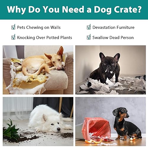 Black Double-Door Folding Metal Wire Dog Crate with Plastic Tray N638137