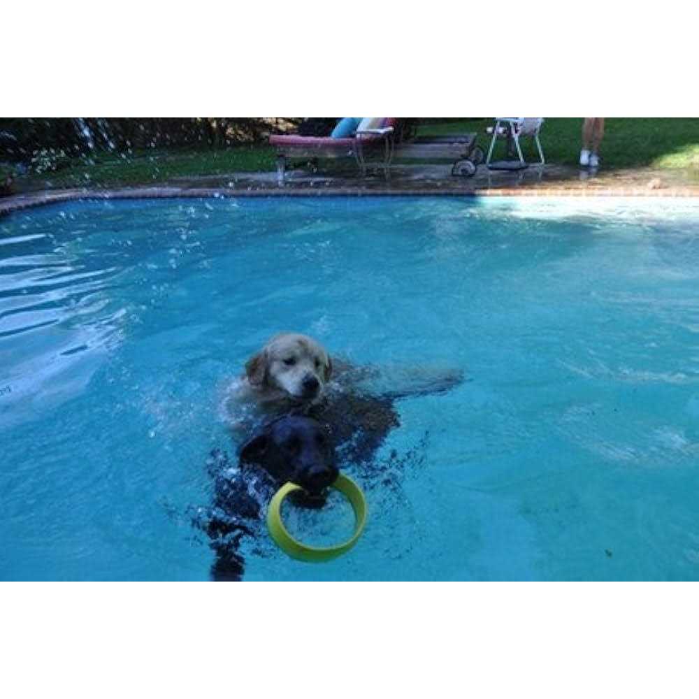 Ring Launcher Dog Starter Pack T5605