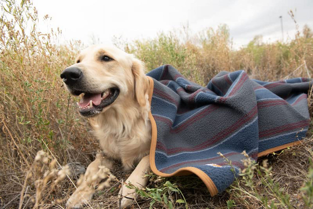 Firm Duck Sherpa-Lined Throw Blanket Y718510