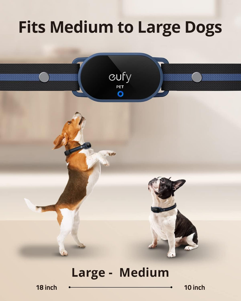 Rechargeable Adjustable Pet Training Collar with Remote, IPX7 Waterproof, Pack of 2 B218
