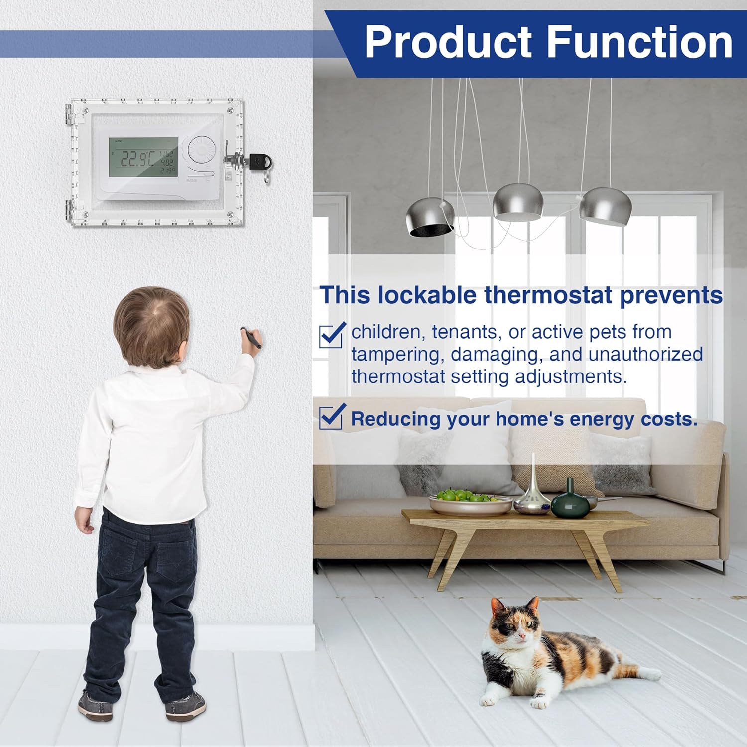 Clear Thermostat Lockable Box with Keys F800