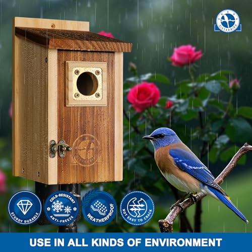 2 Pack Cedar Bird House with Copper Guard H7460