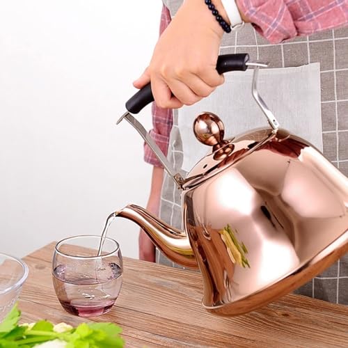 Stainless Steel Whistling Tea Kettle I72816