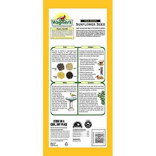 Black Oil Sunflower Seed S8103
