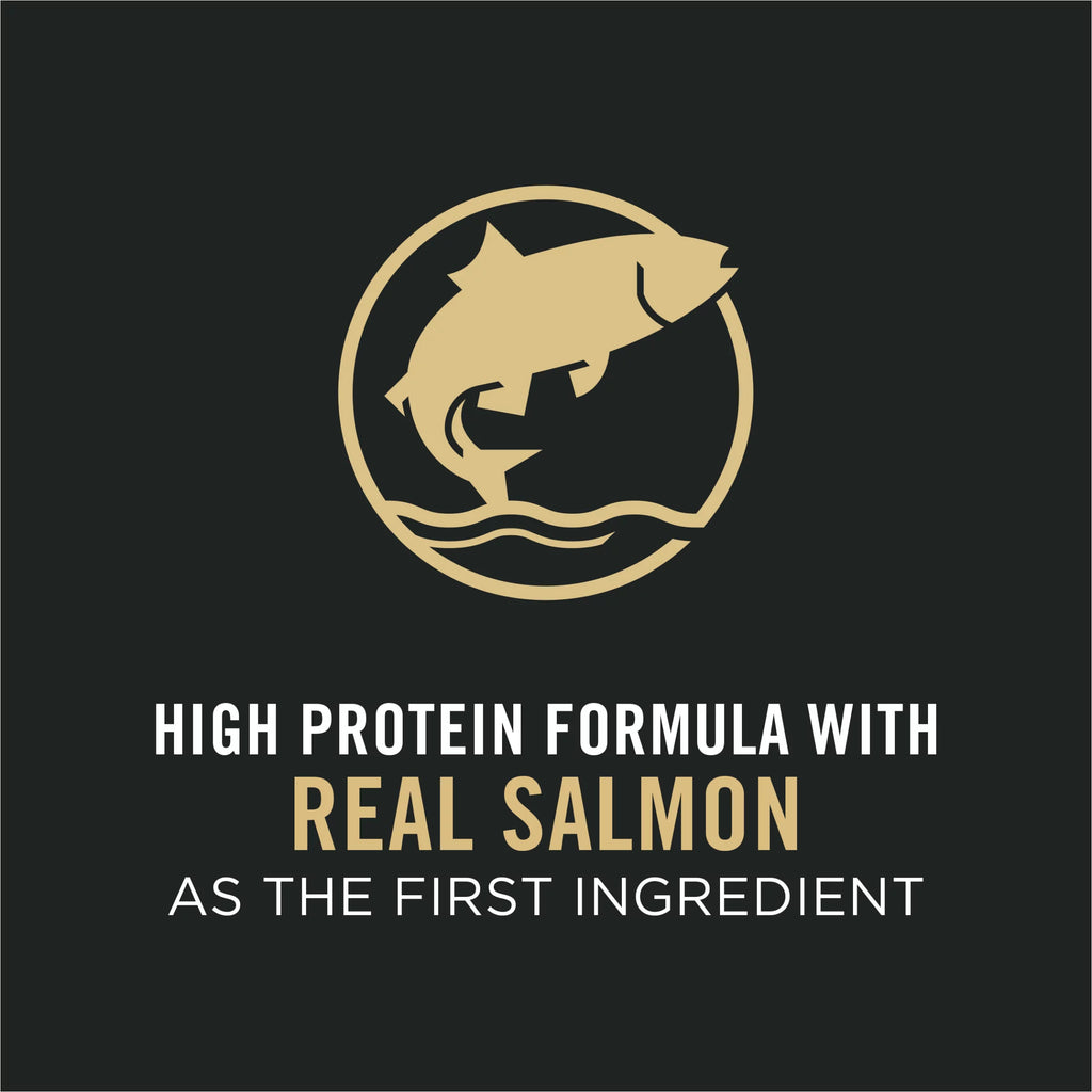 Large Breed Dry Dog Food, Salmon & Rice, 16 lb Bag J942