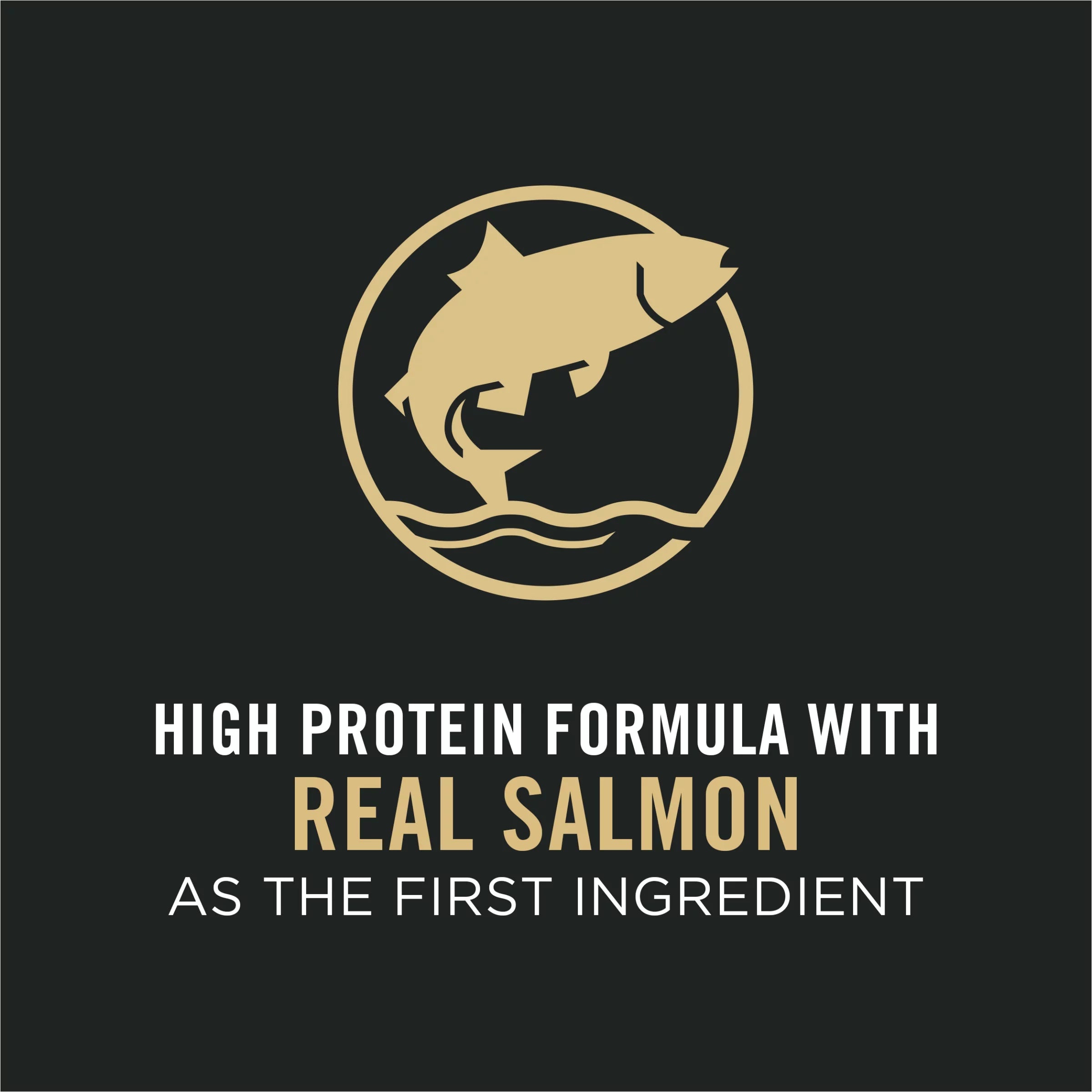 Large Breed Dry Dog Food, Salmon & Rice, 16 lb Bag J942